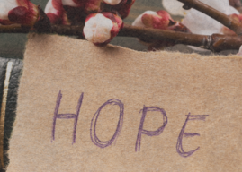 Embracing Hope in the New Year